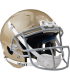 Schutt Vengeance Pro Helmet